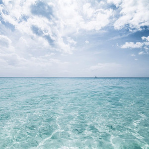 祼体大胸美女自慰不打码
