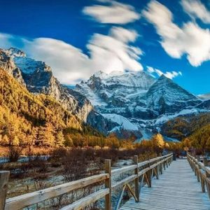 祼体大胸美女自慰不打码
