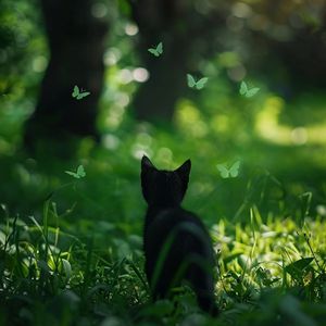 祼体大胸美女自慰不打码
